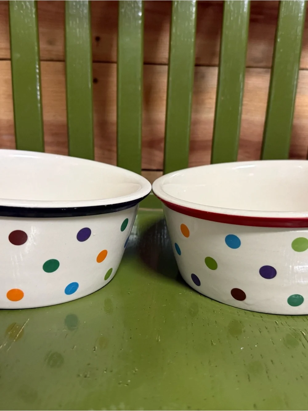 Fido’s Diner Stoneware by Coastline Imports Multi Color Polka Dot Dog Bowl Set